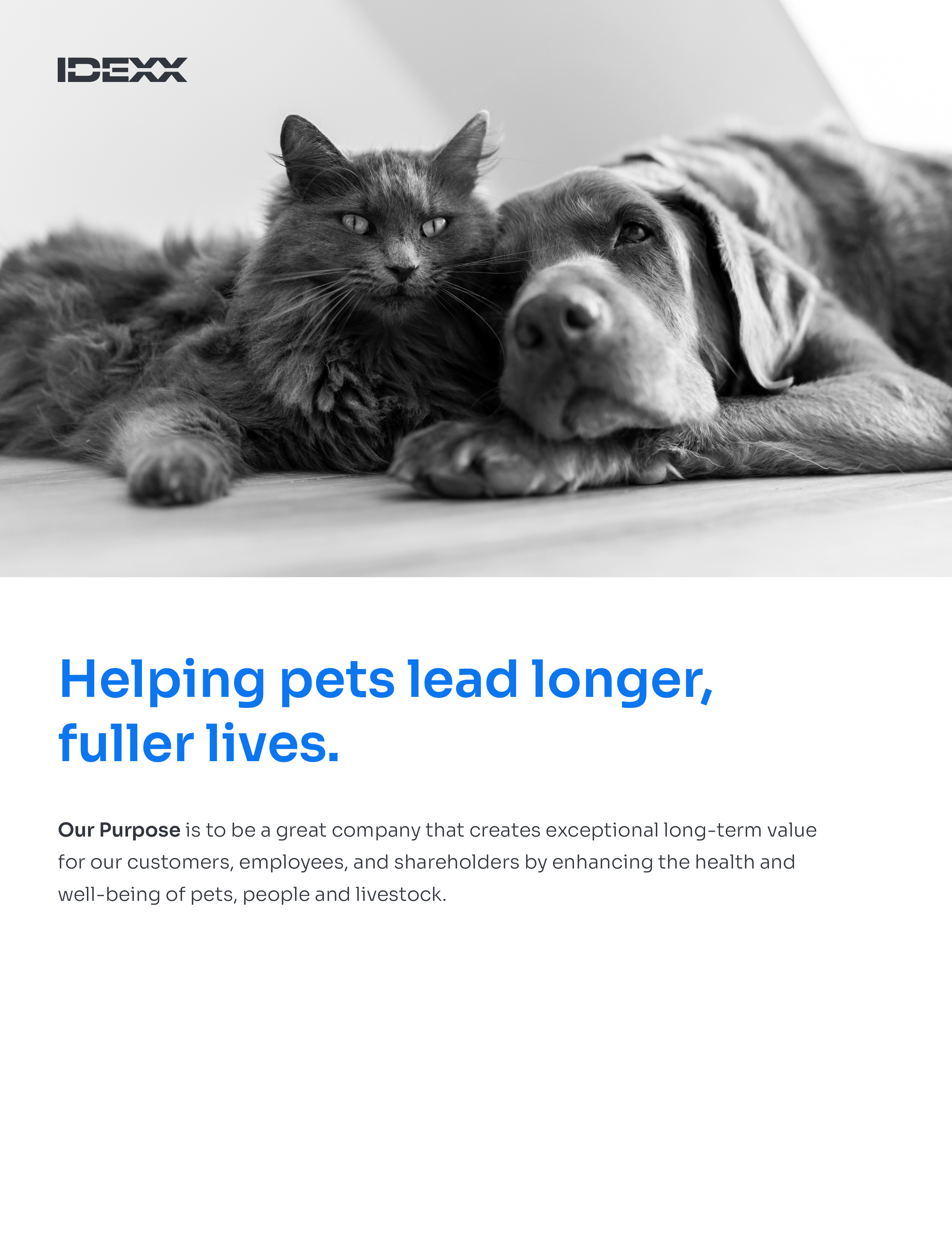 I081825_IDEXX_CoverFinal2.jpg